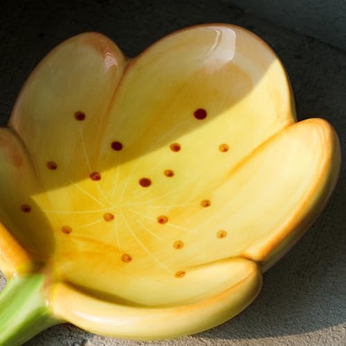 LINXUXIE Floral Ceramic Soap Dish Holder Orange