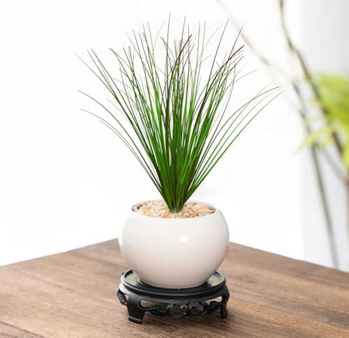 16 PCS Artificial Grass Outdoor Decor Set
