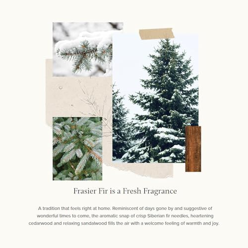 Thymes Frasier Fir Pinecone Candle - Green Pillar