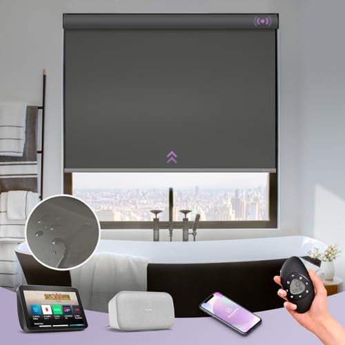 Graywind Motorized Roller Shades with Remote Control and Valance