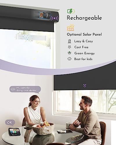 Graywind Motorized Roller Shades with Remote Control and Valance