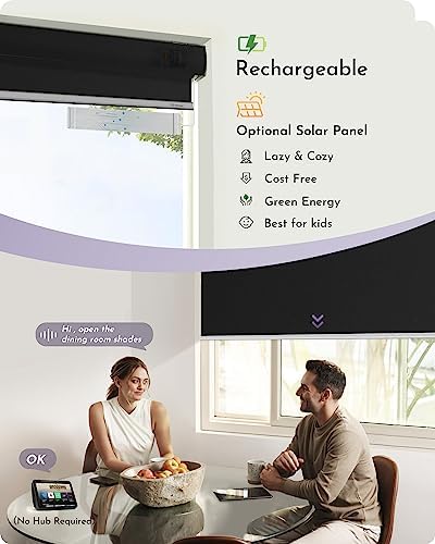Graywind Smart Roller Shades with Alexa Google Compatibility and 100 Blackout Fabric