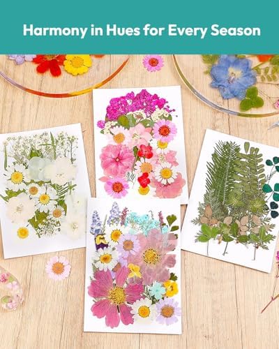 Resiners 100Pcs Dried Flowers Craft Kit