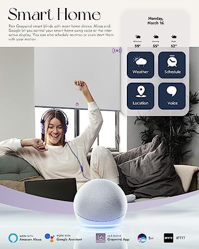Graywind Smart Roller Shades with Alexa Google Compatibility and 100 Blackout Fabric
