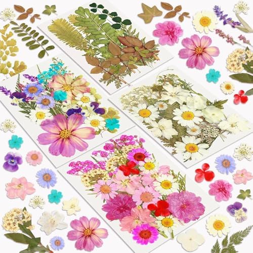 Resiners 100Pcs Dried Flowers Craft Kit