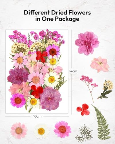 Resiners 100Pcs Dried Flowers Craft Kit