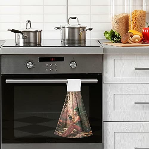visesunny 2 Pack Soft Cotton Kitchen Hand Towels with Hanging Loop