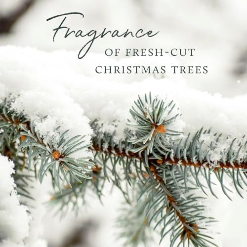 Thymes Frasier Fir Pinecone Candle - Green Pillar
