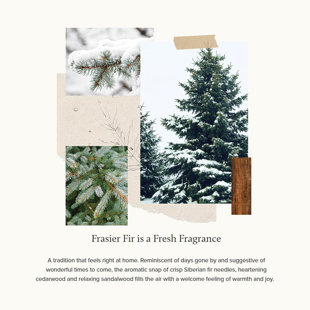 Thymes Frasier Fir Pinecone Candle - Green Pillar