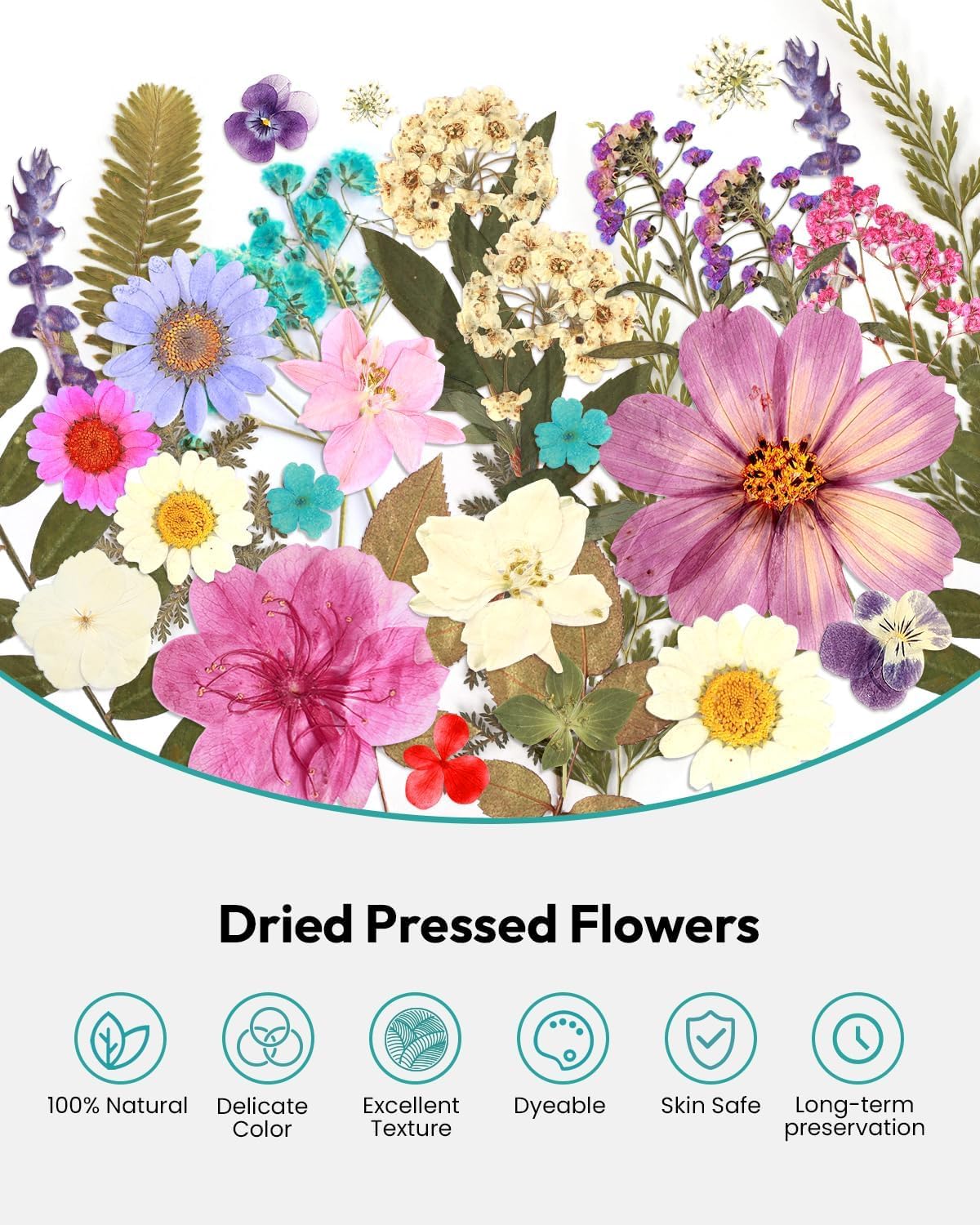 Resiners 100Pcs Dried Flowers Craft Kit