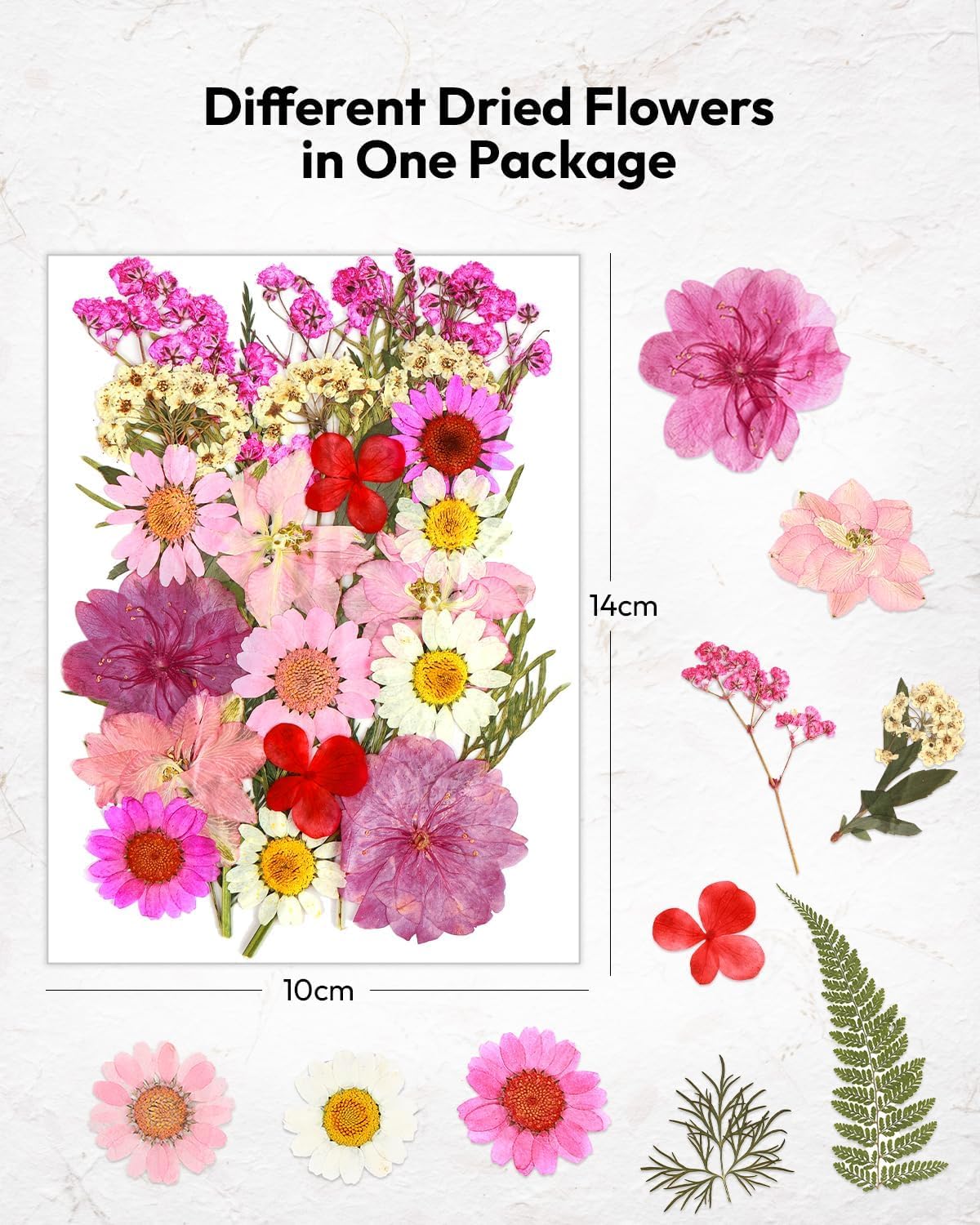 Resiners 100Pcs Dried Flowers Craft Kit