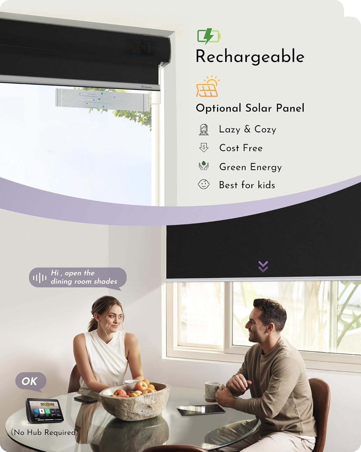 Graywind Smart Roller Shades with Alexa Google Compatibility and 100 Blackout Fabric