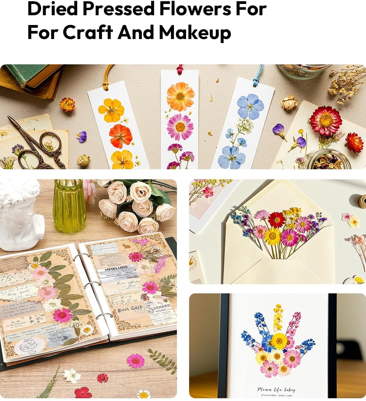 Resiners 100Pcs Dried Flowers Craft Kit