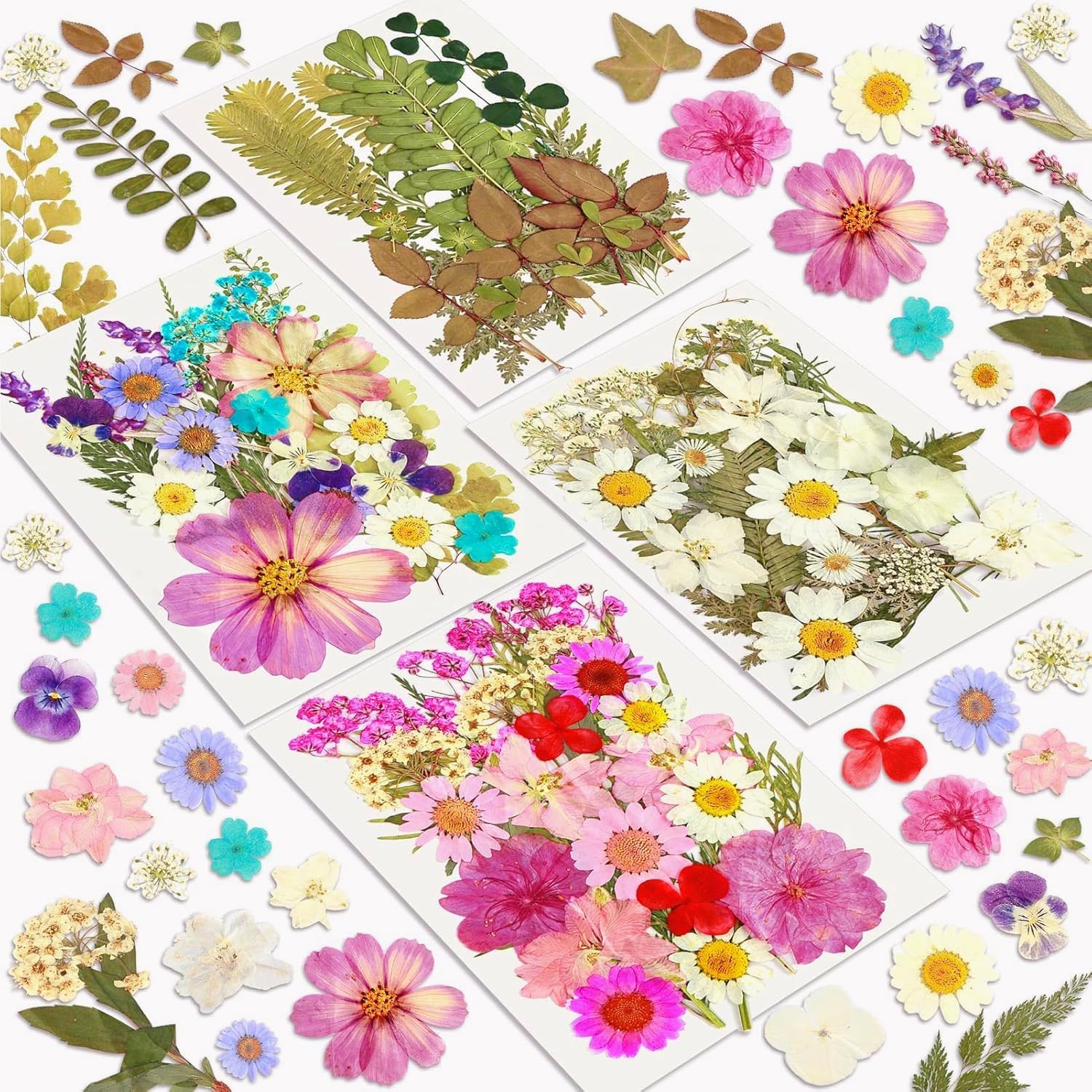 Resiners 100Pcs Dried Flowers Craft Kit